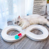 Petshy Tunnel-Toy Ball-Disk Cat-Track-Toys Turntable Cats Interactive-Training Plastics
