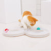 Petshy Tunnel-Toy Ball-Disk Cat-Track-Toys Turntable Cats Interactive-Training Plastics