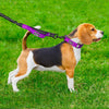 Leash-Set Pet-Collar Reflective Dogs Running Large Lead Nylon Walking Medium