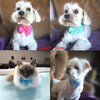 Bow-Ties Dog-Accessories Grooming Adjustable Ribbon Pet-Supplies Flower-Style Bowknot
