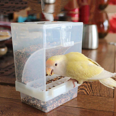 Pet Bird Anti-slip Acrylic Automatic Food Box Parrot Manger Pet Supplies