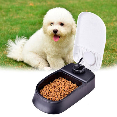 Dish-Bowl Dispenser Pet Timing Automatic-Feeder Water-Drinking Pet-Dog Dry Large-Capacity