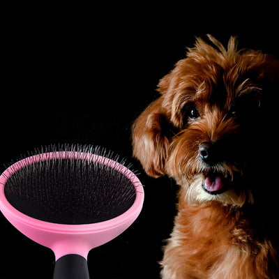 Hair Detangler Brush Comb for Dog Remove Deshedding Trimming Pet Fur Thinning Grooming