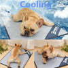 Cooling-Mat Pet Pet-Dog Summer New Solid