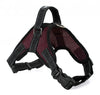 Vest Pet-Products Dog-Harness Pour Small Medium Large for Big High-Quality Chie